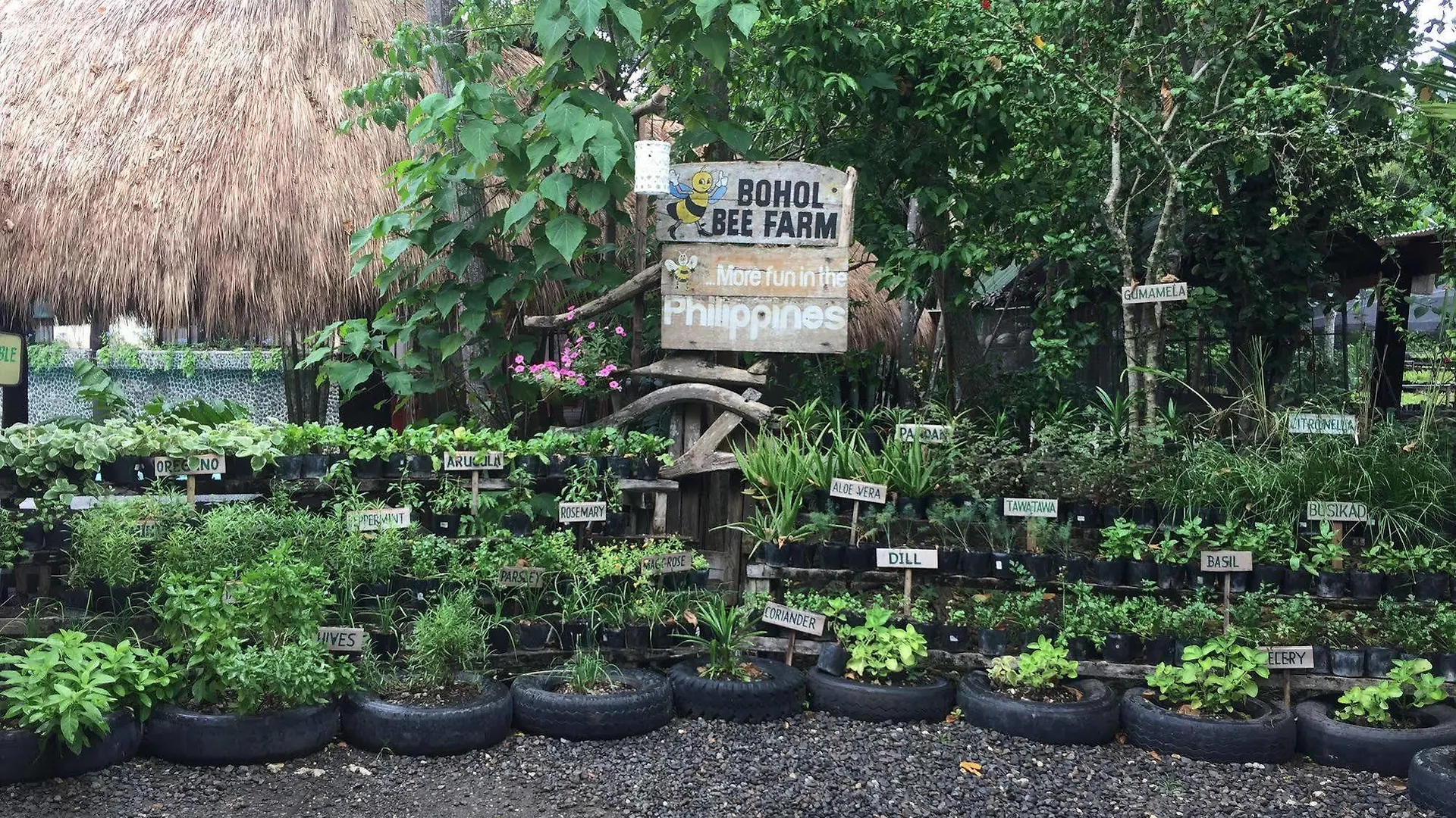 Bohol Bee Farm Hotel Панглао 3*,  Филиппины